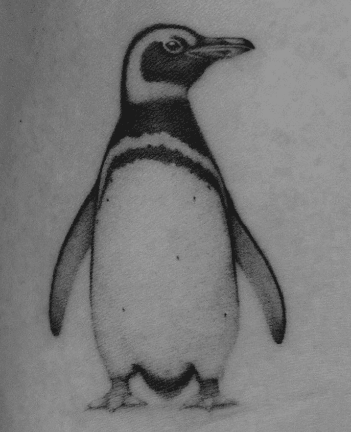 Pingu-Boys
